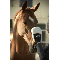 Luva de escovação Pénélope Preto