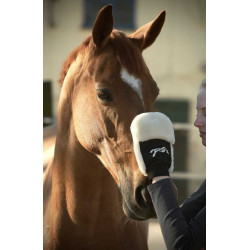 Luva de escovação Pénélope Preto Luva de escovação Pénélope Preto