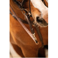 Enrêno Pénélope Howlett Havana Castanho