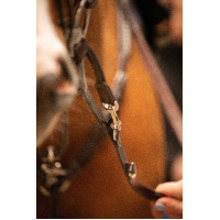 Enrêno Pénélope Howlett Havana Castanho