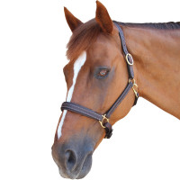 Licol Privilege Equitation La Baule Noir Licol Privilege Equitation La Baule Noir