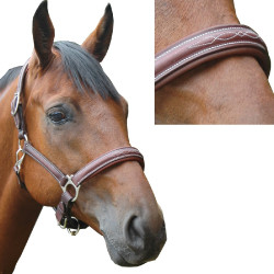 Licol Privilege Equitation Royan Noir