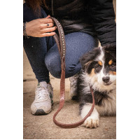 Deixa cão Pénélope Rubber Havana Castanho