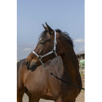 Cabeçada Norton Nylon Soft Azul-marinho