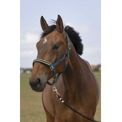 Caveção Equithème Nylon Chevron Verde escuro