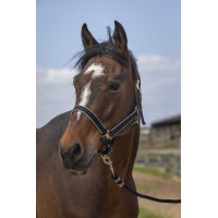 Caveção Equithème Nylon light Preto