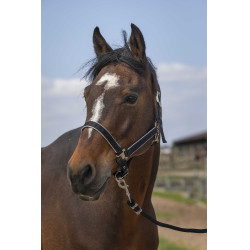 Caveção Equithème Nylon light Preto