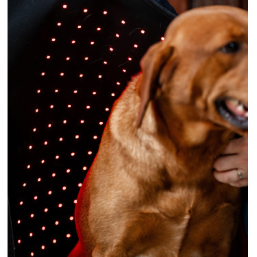Casaco terapêutico para cão da Horseware com luz LED vermelha Preto / preto