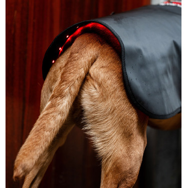 Casaco terapêutico para cão da Horseware com luz LED vermelha Preto / preto