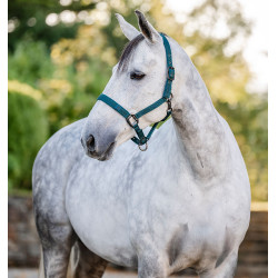 Caveção e guia Horseware Dinastia verde