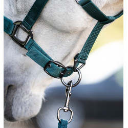 Caveção e guia Horseware Dinastia verde