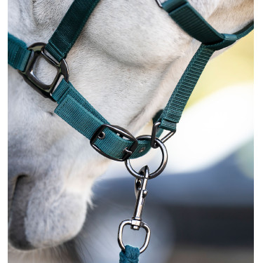 Caveção e guia Horseware Dinastia verde