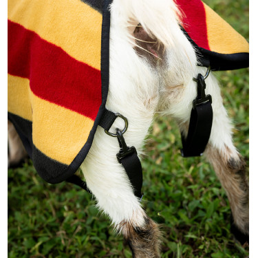 Manta polar Horseware Newmarket para cabra Ouro branco