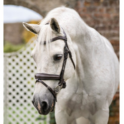 Bridão pônei Horseware com noseband flash Castanho