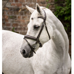 Bridão pônei Horseware com noseband flash Castanho