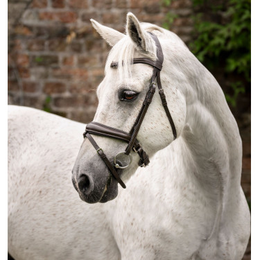 Bridão pônei Horseware com noseband flash Castanho