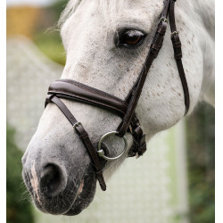 Bridão pônei Horseware com noseband flash Castanho