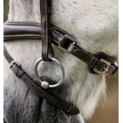 Bridão pônei Horseware com noseband flash Castanho