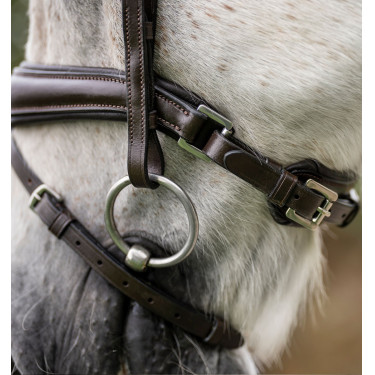 Bridão pônei Horseware com noseband flash Castanho
