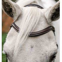 Bridão pônei Horseware com noseband flash Castanho