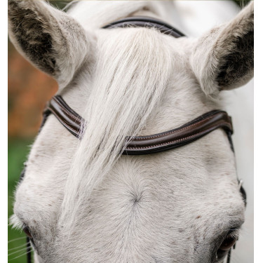 Bridão pônei Horseware com noseband flash Castanho