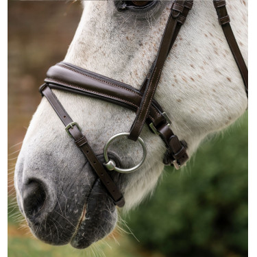 Bridão pônei Horseware com noseband flash Castanho