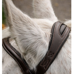 Bridão pônei Horseware com noseband flash Castanho