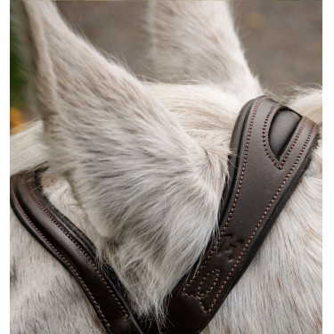 Bridão pônei Horseware com noseband flash Castanho