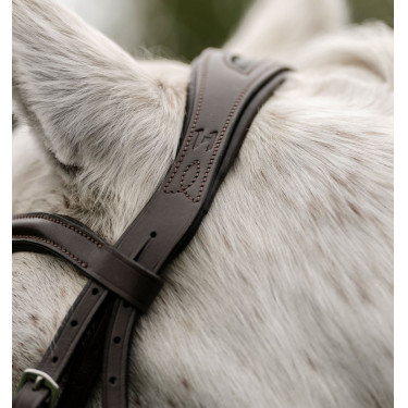 Bridão pônei Horseware com noseband flash Castanho