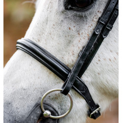 Caveçon de pônei Horseware Preto