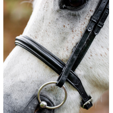 Caveçon de pônei Horseware Preto