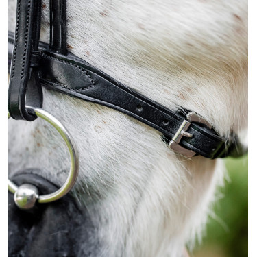 Caveçon de pônei Horseware Preto