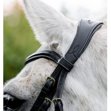 Caveçon de pônei Horseware Preto