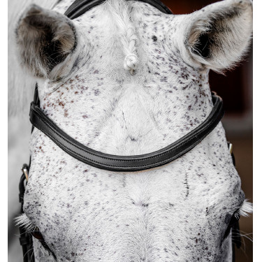 Bridão Horseware Micklem Competition Preto