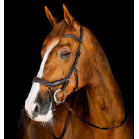 Bridão Horseware Micklem Competition Preto