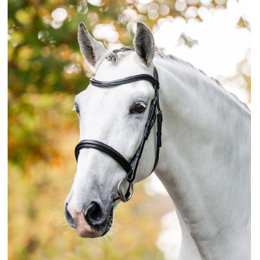 Bridão Horseware Caveson Preto