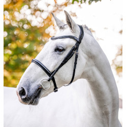 Bridão Horseware Caveson Preto