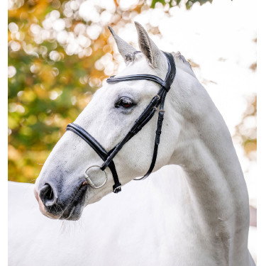 Bridão Horseware Caveson Preto