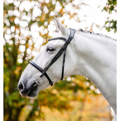 Bridão Horseware Caveson Preto