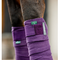 Bandagens de polo Horseware Amigo Bagas-de-inverno Violeta