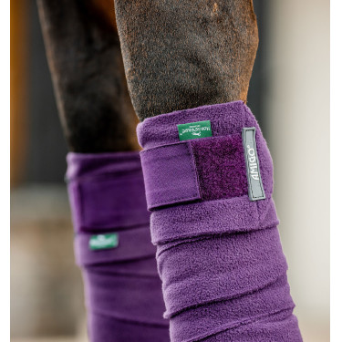 Bandagens de polo Horseware Amigo Bagas-de-inverno Violeta