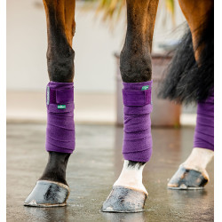 Bandagens de polo Horseware Amigo Bagas-de-inverno Violeta