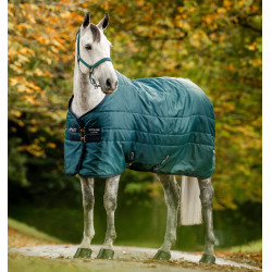Cobertura de estábulo Horseware Amigo Ripstop Insulator 50g Dinastia verde / marinho / prateado