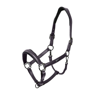 Cabolça de couro Equestrian Stockholm anatómica brilhante Violeta escura