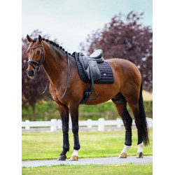Manta de dressage Equestrian Stockholm Performance Preto