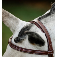 Bridão Horseware Cavesson Hunter com rédeas Castanho