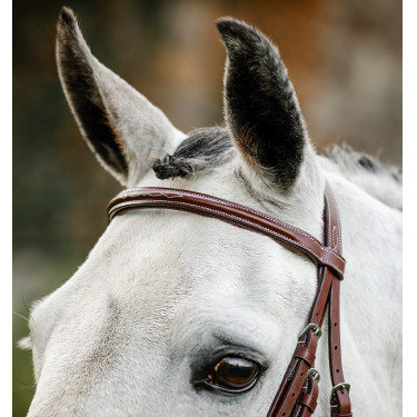 Bridão Horseware Cavesson Hunter com rédeas Castanho Bridão Horseware Cavesson Hunter com rédeas Castanho