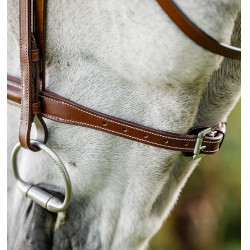 Bridão Horseware Cavesson Hunter com rédeas Castanho Bridão Horseware Cavesson Hunter com rédeas Castanho