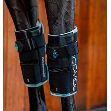 Protetores de joelho Horseware Ice-Vibe Preto / aqua