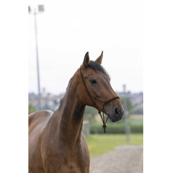 Cabeçada de corda first Castanho